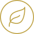 Gold Rate